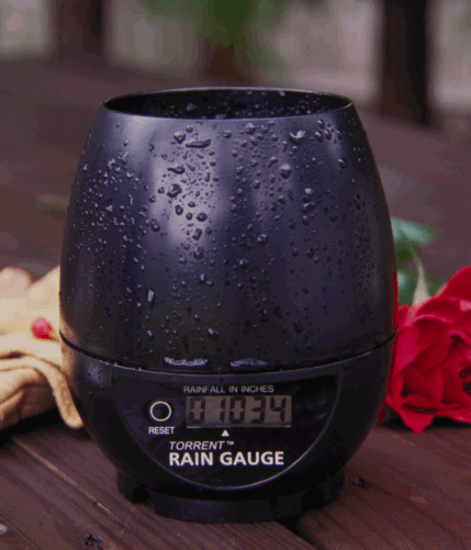 TORRENT Rain Gauge