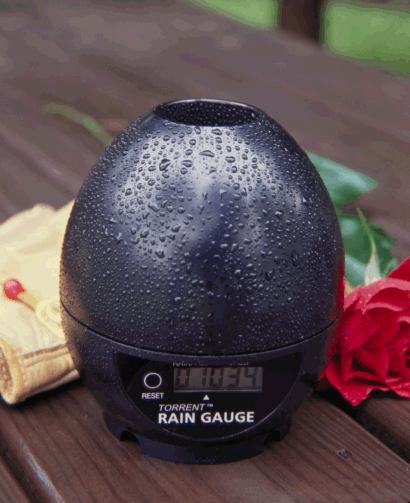 TORRENT Rain Gauge (mm style)